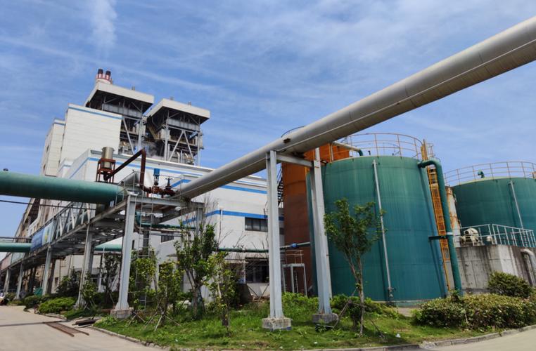浙江瑞安市工业固体废物与污泥利用处置项目见成效